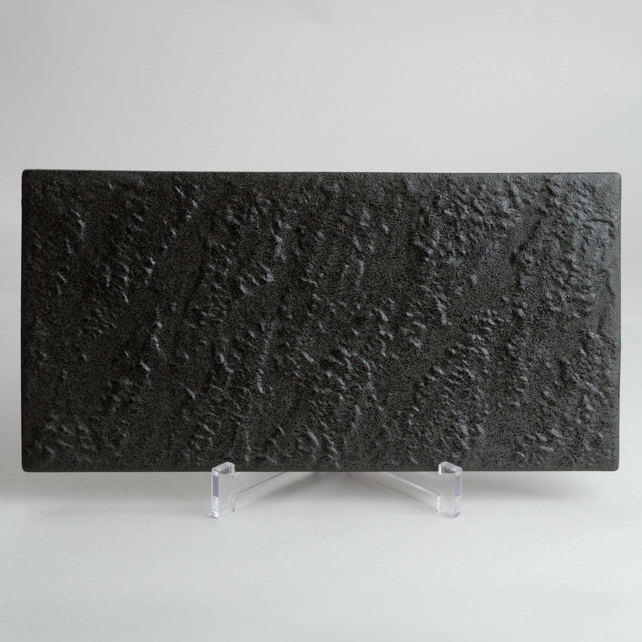 118-5756 Black flat rec. large plate