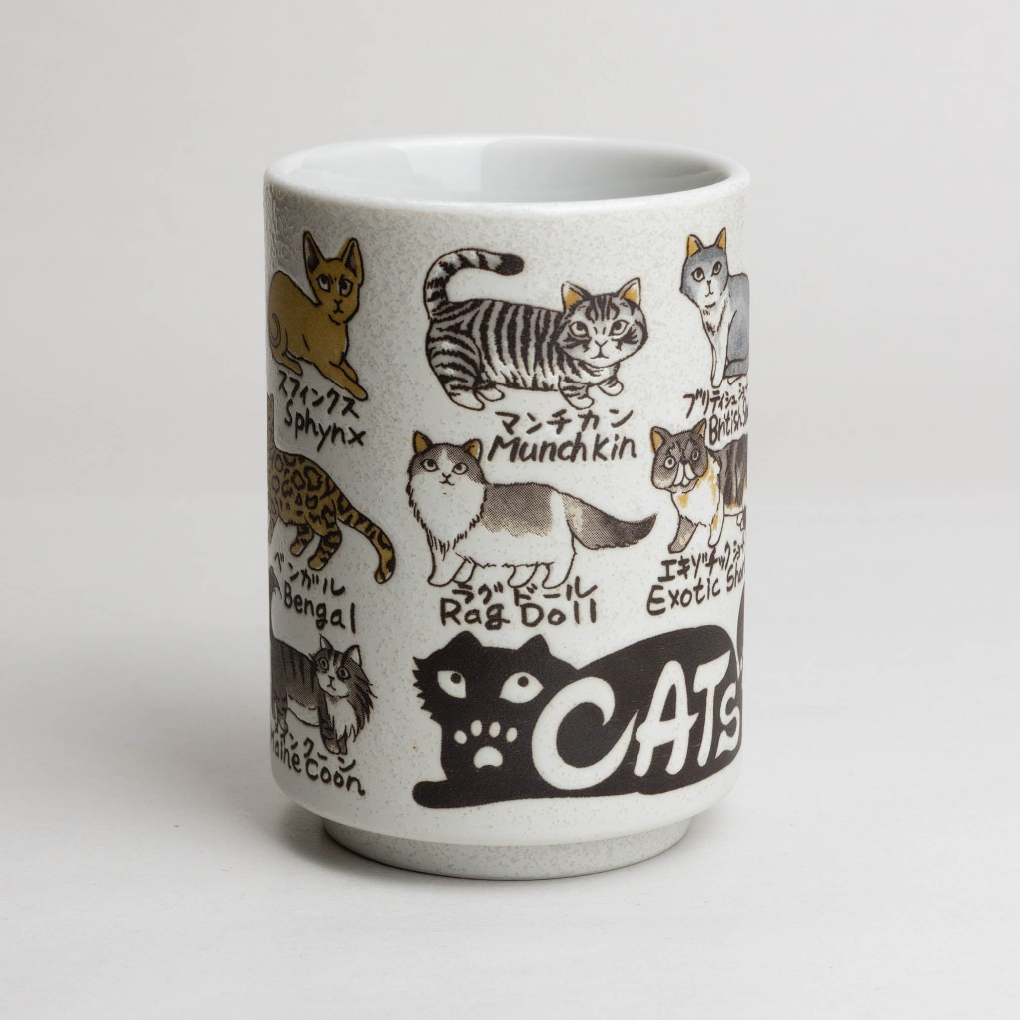 528-4726 Cat types tea cup
